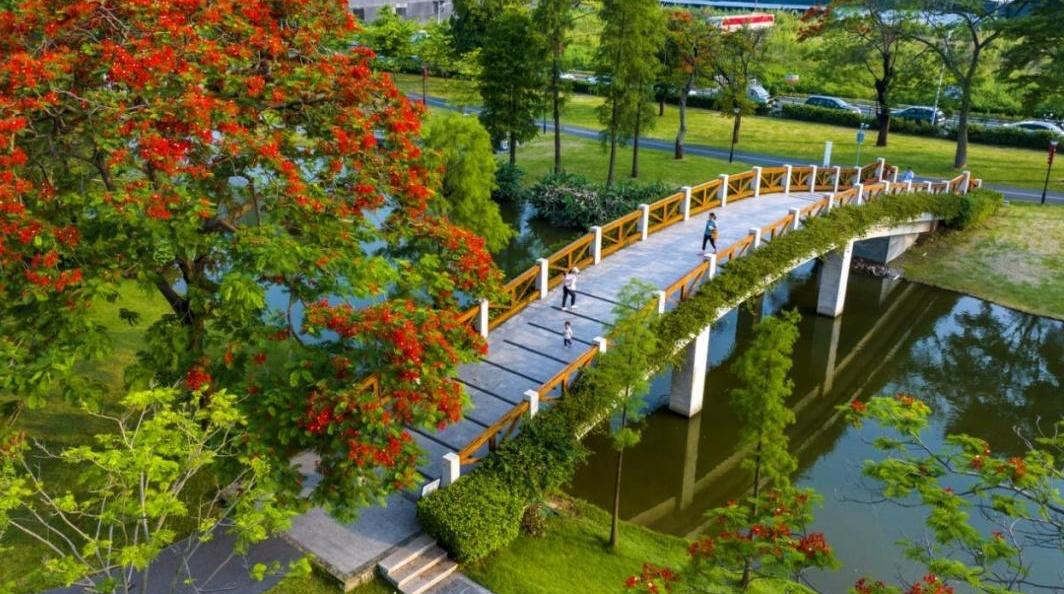 广州公布第四批31个美丽河湖优秀案例名单