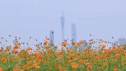 台风带来大风降温，阳光将会持续在线