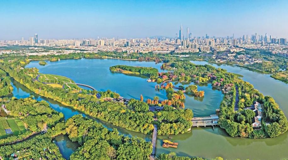 四中全会精神在基层 | 天蓝水清岸绿 市民飞鸟比邻