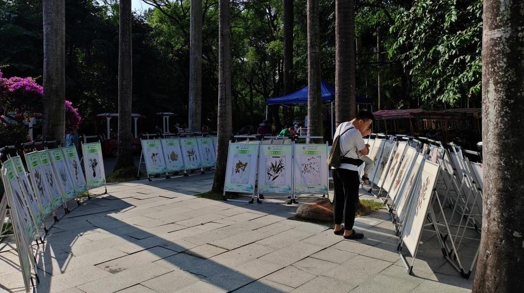 华南国家植物园展出60幅珍贵模式标本复刻件