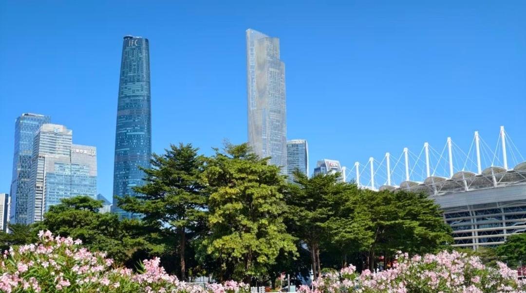 国家二级保护动物红角鸮现身广州珠江公园