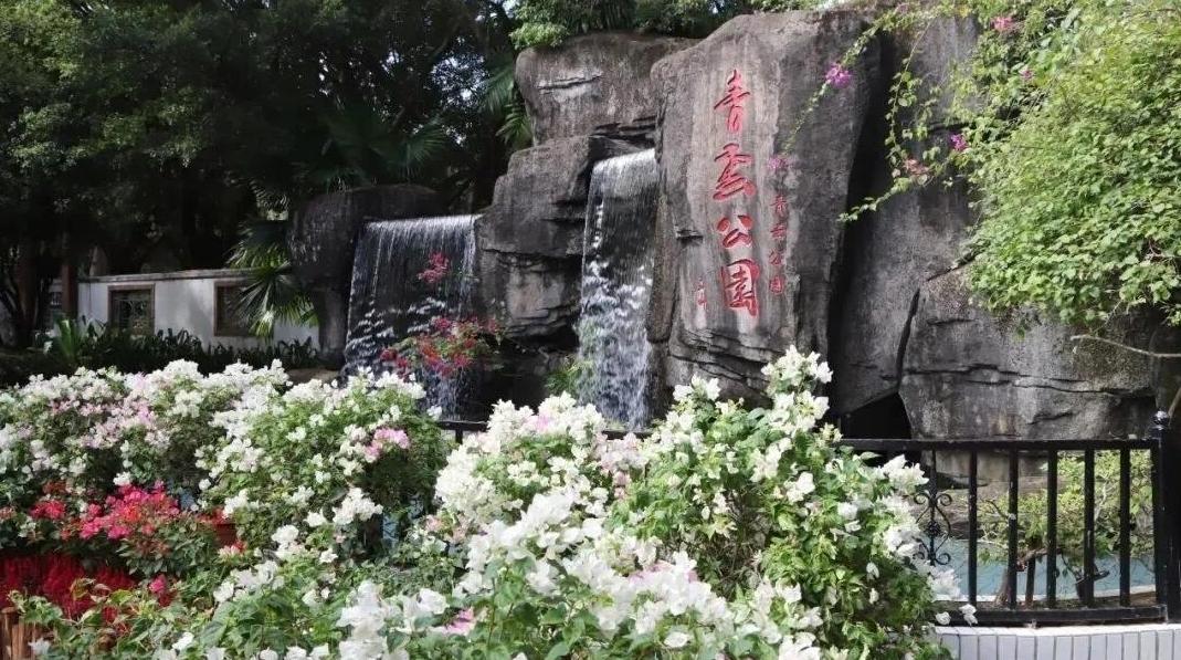 超50种簕杜鹃现场看!2025年从化簕杜鹃花展开幕