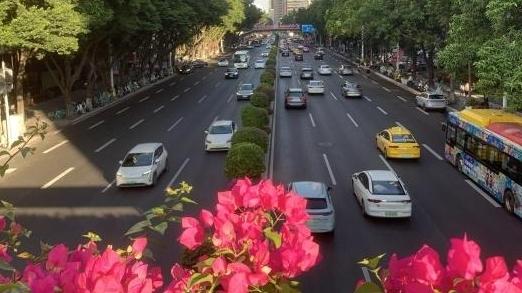 今日起恢复对非粤A小车“早晚高峰限行”