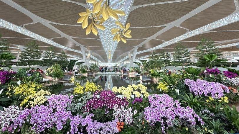 T3航站楼内架机拍短视频、团体参观需提前预约