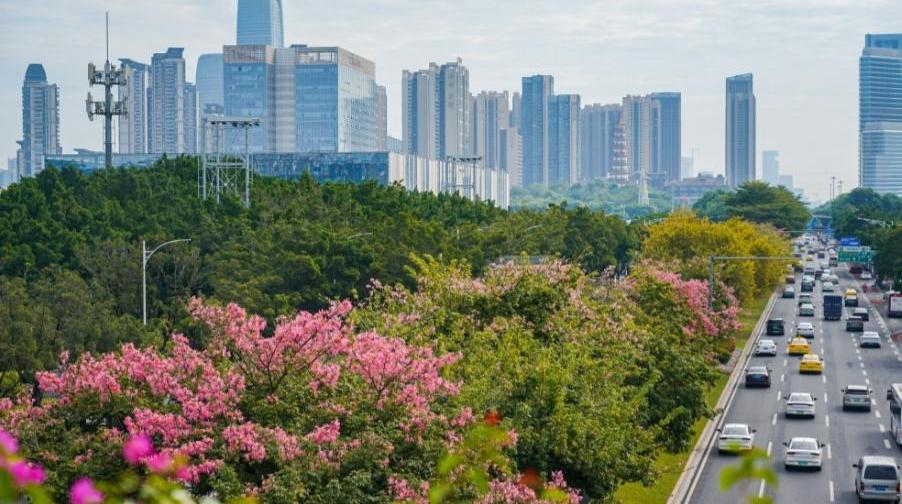 小雪节气广州升温进行时，新冷空气周一夜间到