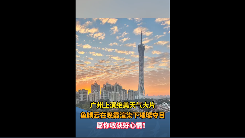 广州上演绝美天气大片 鱼鳞云在晚霞渲染下璀璨夺目 愿你收获好心情！