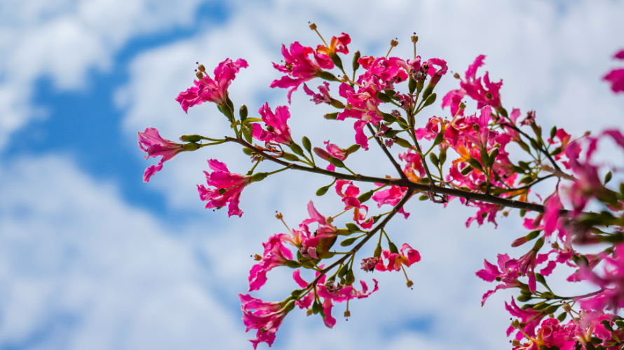 100%优良率+PM2.5“1字头”，广州“全运蓝”护航十五运会圆满收官