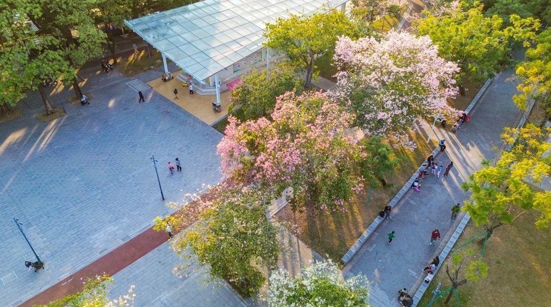 气温微降阳光不退场，未来三天广州继续秋高气爽