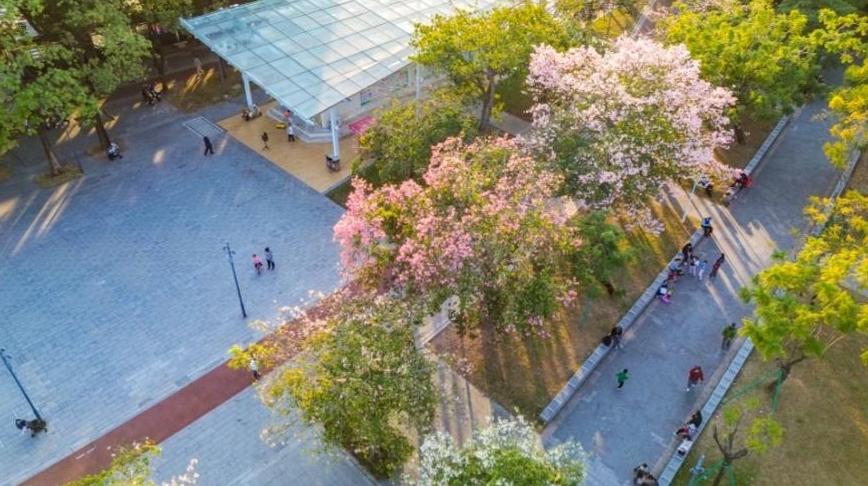 晴天余额已不足，周日起广州将有零星小雨