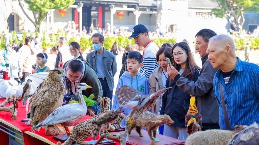 绿美广东，万众护飞，“羊城护鸟先锋队”正式成立