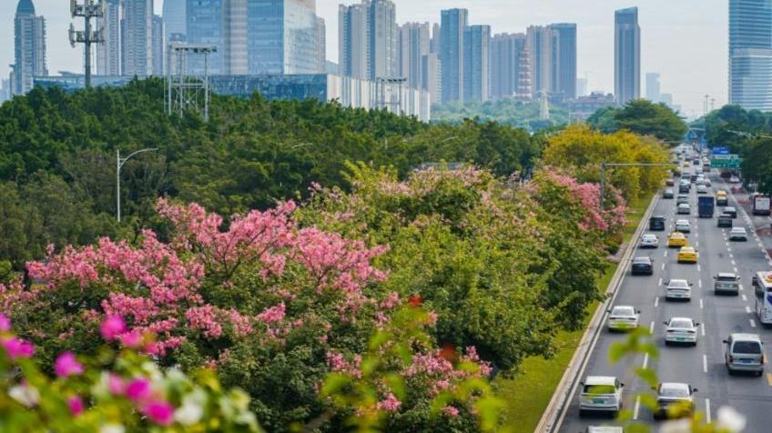 弱冷空气是真的弱，未来三天广州秋风送爽