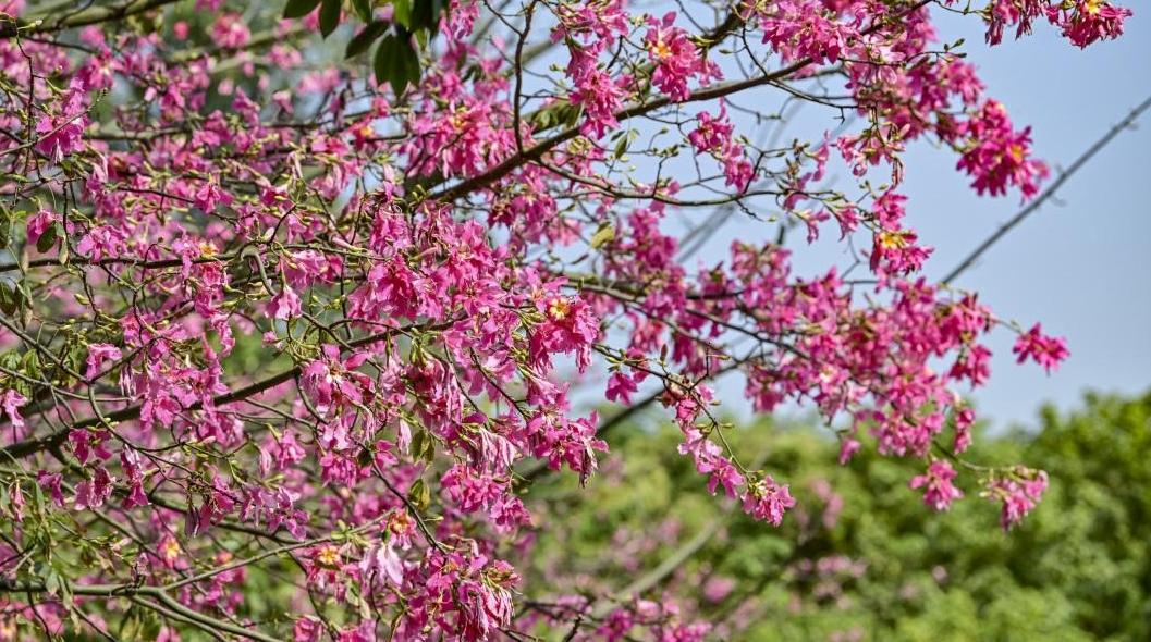 本周末阳光“续杯”，下周末冷空气将带来明显降温