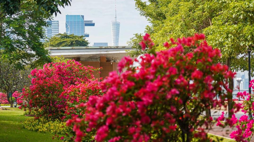 珍惜明天的阳光！冷空气正在“憋大招”，下周末广州将变湿冷