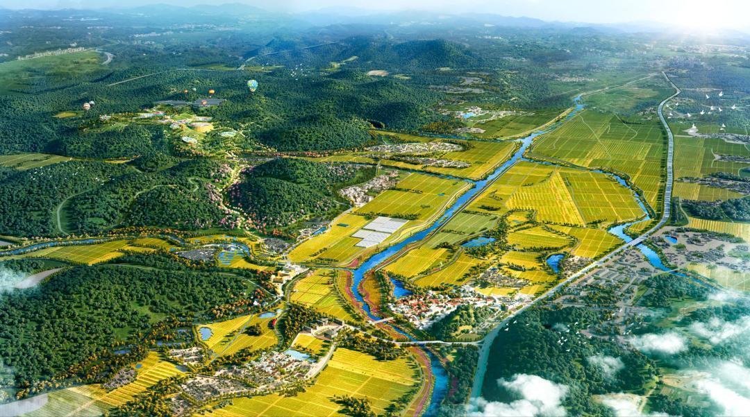 一图在手，乡村无忧！广州农业农村消费地图上线