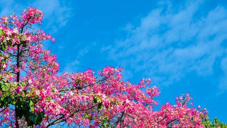 冬至前夕零星小雨登场，白天体感仍有些闷热