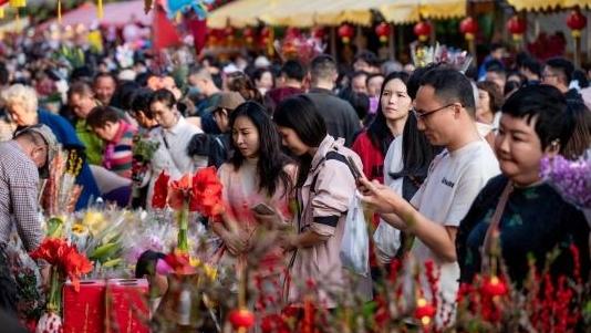 近3000人参与！2026年天河区迎春花市标王出炉