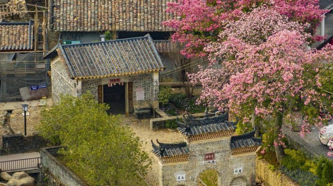 周六阳光再现广州气温回升，冬至日有冷空气到