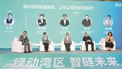 向上向善向绿 出海出新出彩