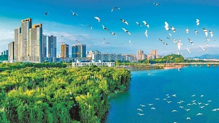 市林业和园林局：生态优先 扮靓“背景色”