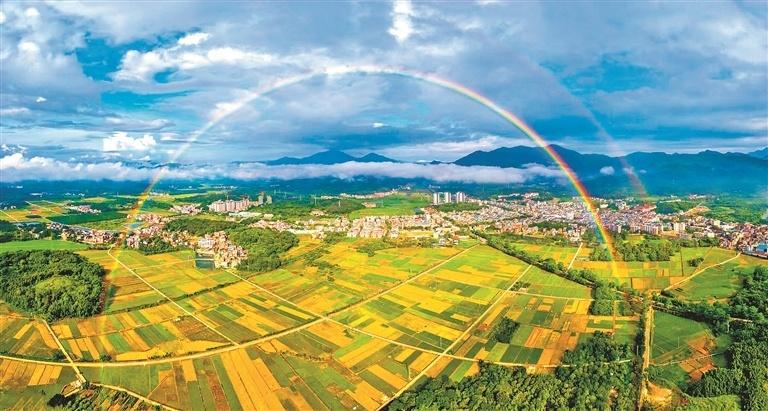 乡村振兴专班：强农富民 岭南“村光”无限好 | 政能量·统筹引领