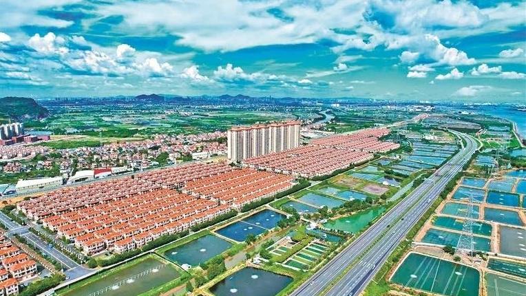 城镇建设专班：提能升级 城乡澎湃“镇”能量 | 政能量·统筹引领