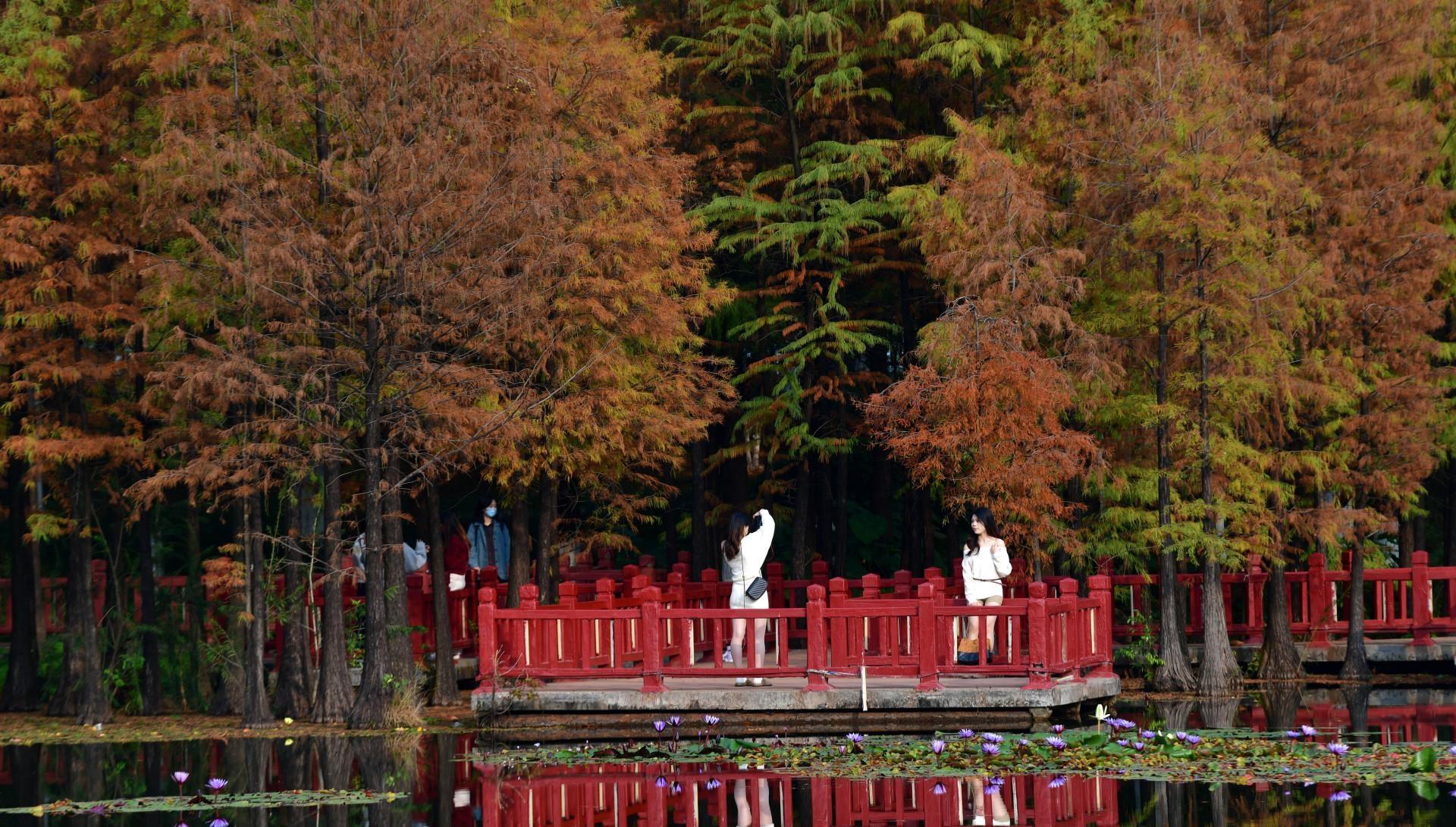 本周中后段广州将再次加入“降温群聊”，预计降温4～6℃