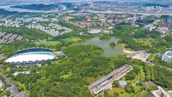 活力镇街调研行③丨实验室到生产线架起“快车道”