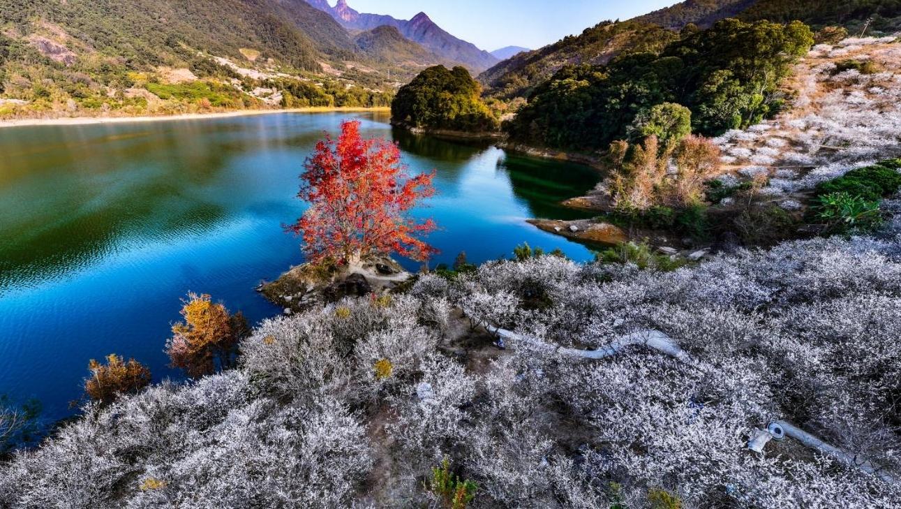 冷空气24日夜间起影响广州 26日最低气温跌破10℃