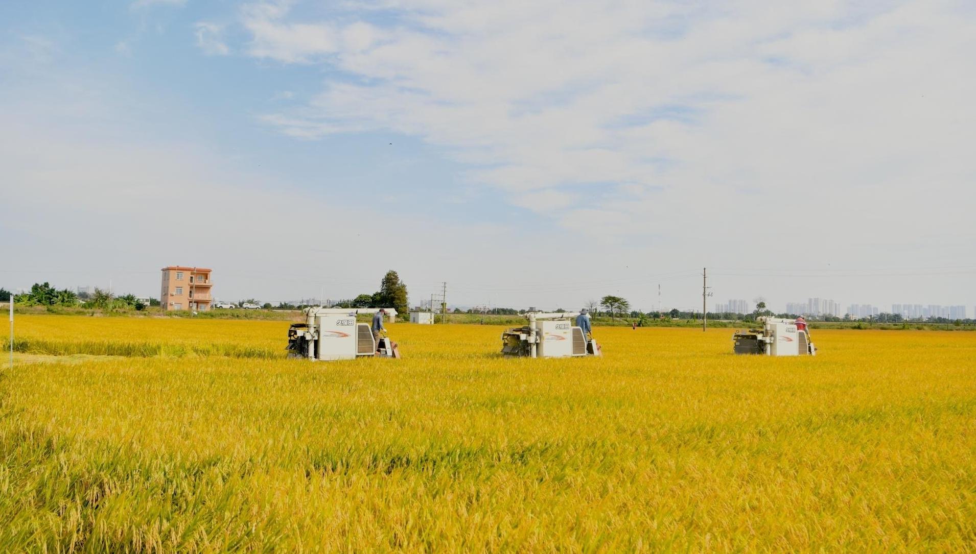 活力镇街调研行① | 小公园撬动大民生 强产业激活新动能
