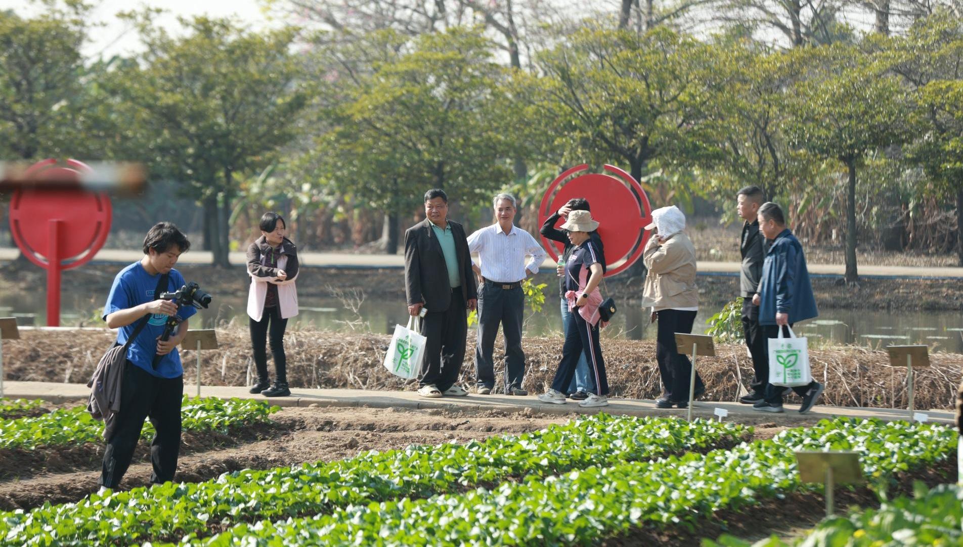 ​试验田变“竞技场”，广州蔬菜新品种示范推广展现科技发展强劲动能