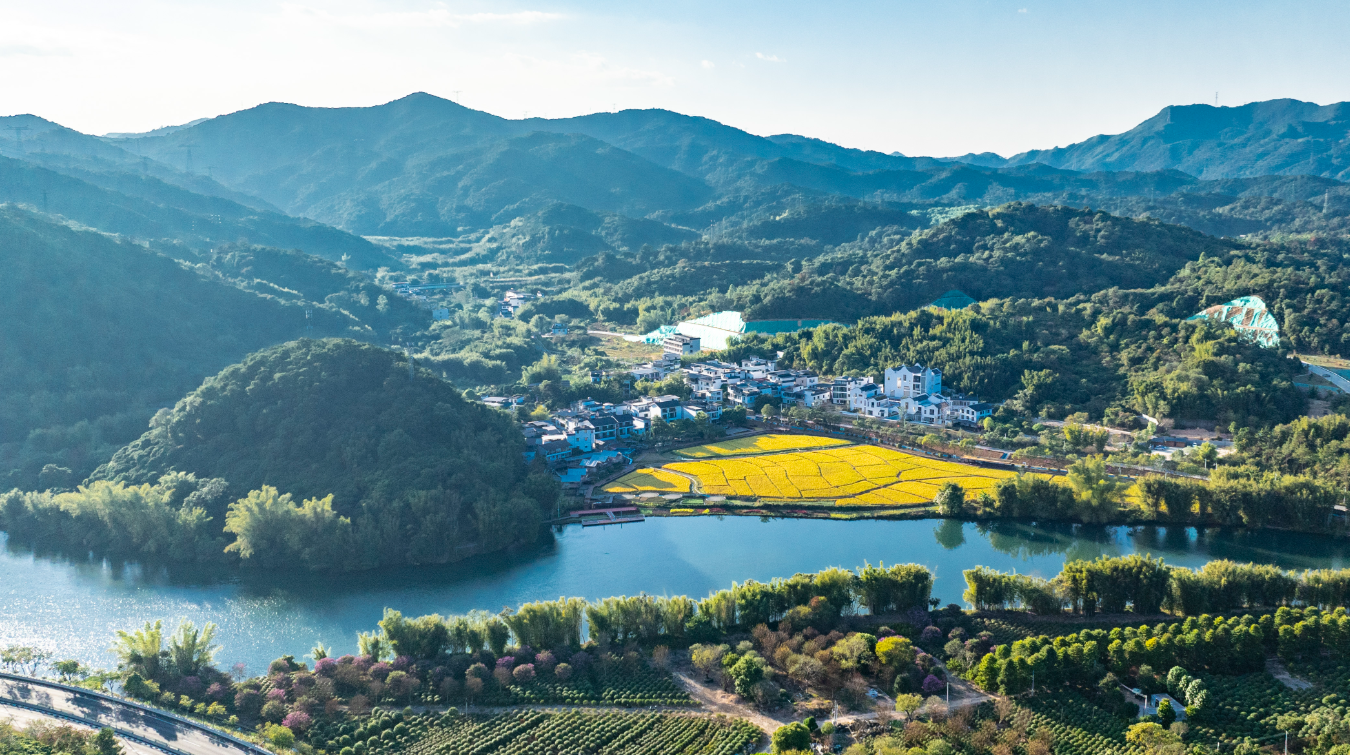 太阳周末加班日间回暖明显 广州最高气温猛升8—10℃