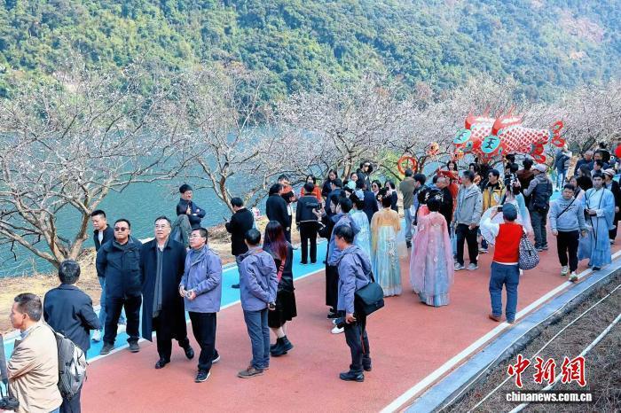 2025年广州梅花观赏季启幕