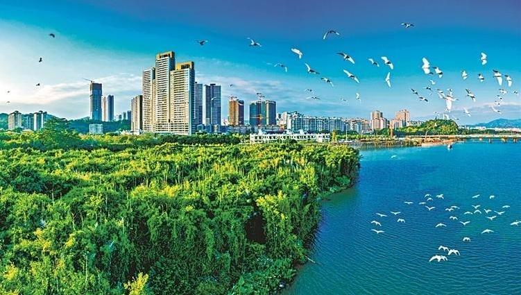 39个基层改革创新案例出炉，诠释现代化人民城市的广州实践