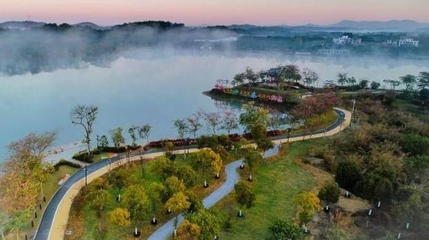 花都赤坭将打造全市首个萤火虫主题乡村文旅项目