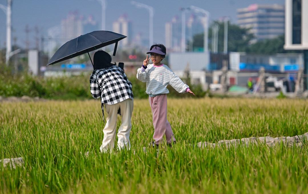 广州各区已发布寒冷预警，冷空气元旦下午上线