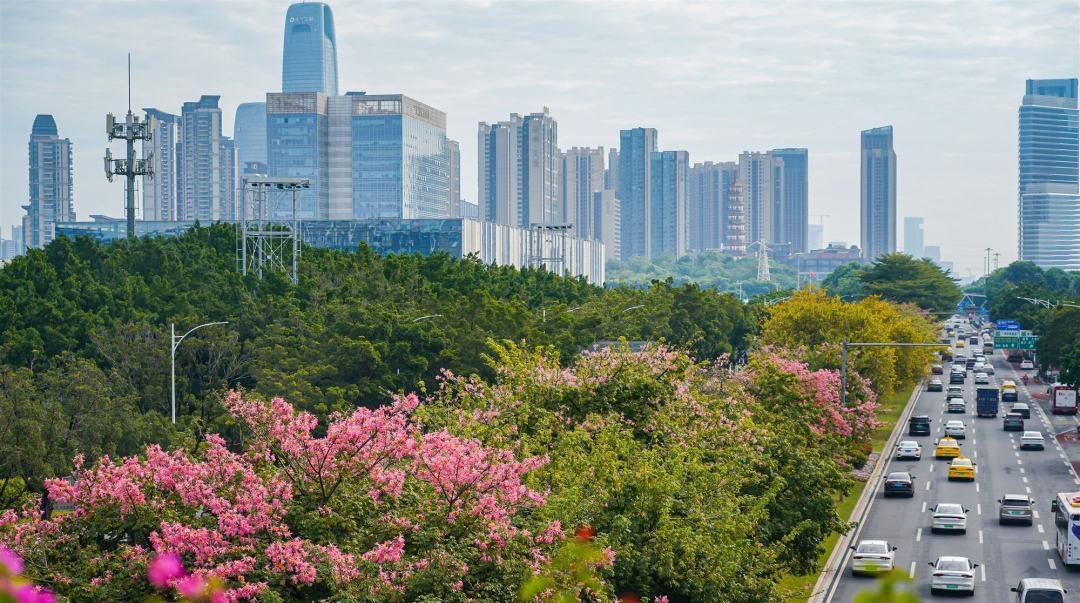 广州，写满“向上的善意”