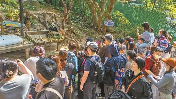 元旦假期广州喜迎“开门红”:燃旺烟火气 迸发消费力