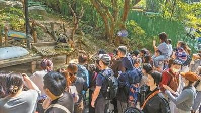 燃旺烟火气 迸发消费力