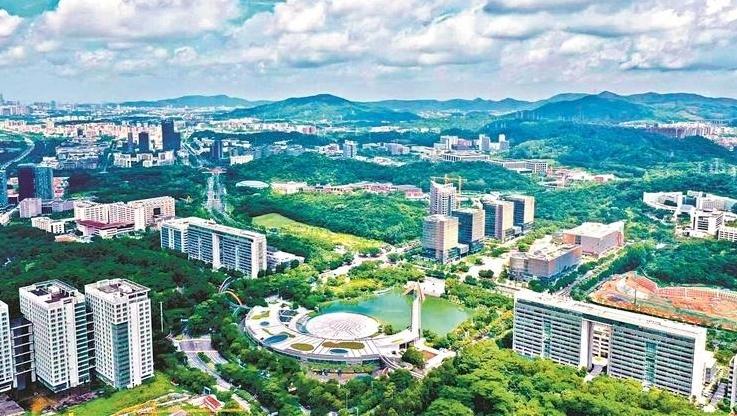 活力镇街调研行 | 黄埔区联和街： “育苗壮干”催生创新雨林