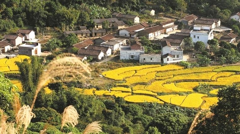 读懂广州·粤韵丨山路弯弯风物美 增城畲村入画来