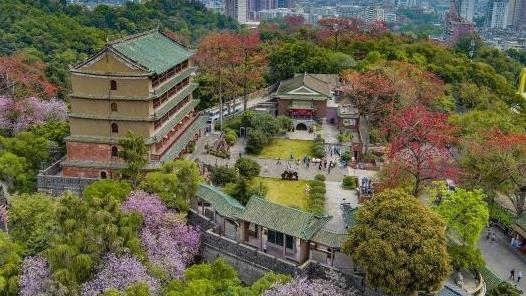 广州多家博物馆公布2026免费开放日 赶紧收藏起来