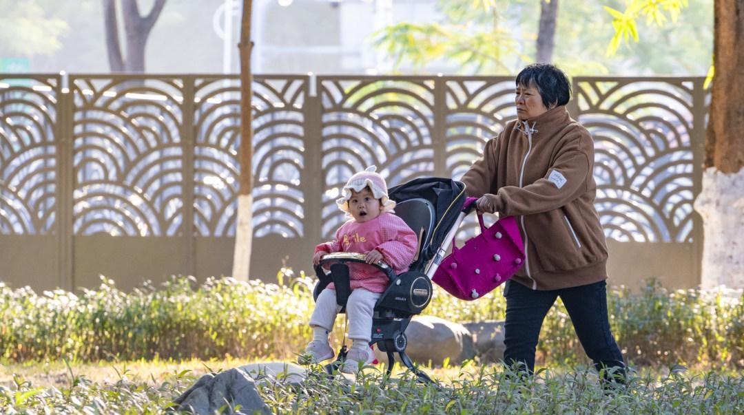 广州回暖进行时:周四最高气温重回20℃