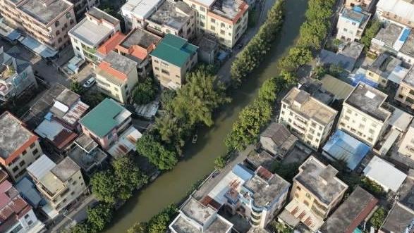 东涌咸水歌为何越唱越“甜”？｜粤来粤好百千万