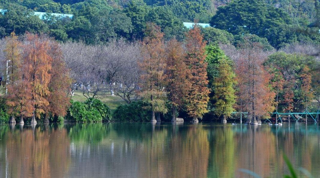 1月份也有台风？大降温预计会在下周中段出现