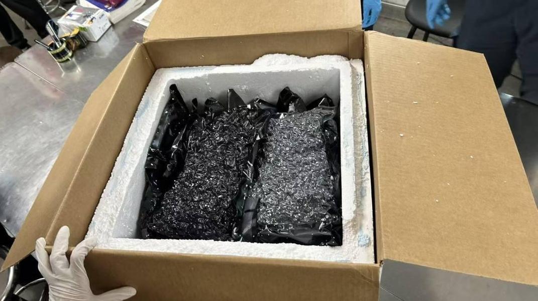 广州海关查获“手工制作窗帘”竟是毒品大麻