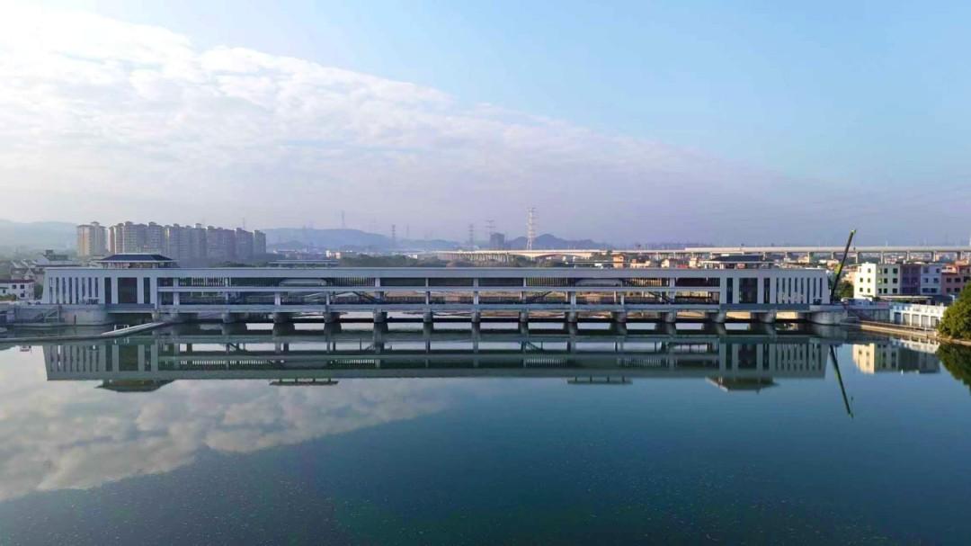 新建鱼道，为流溪河洄游鱼类打通“回家路”