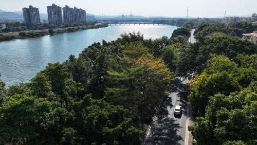 广州市林业和园林局党组书记、局长孙玥： 一张蓝图干到底，打造国际山水田园城市丨一把手访谈